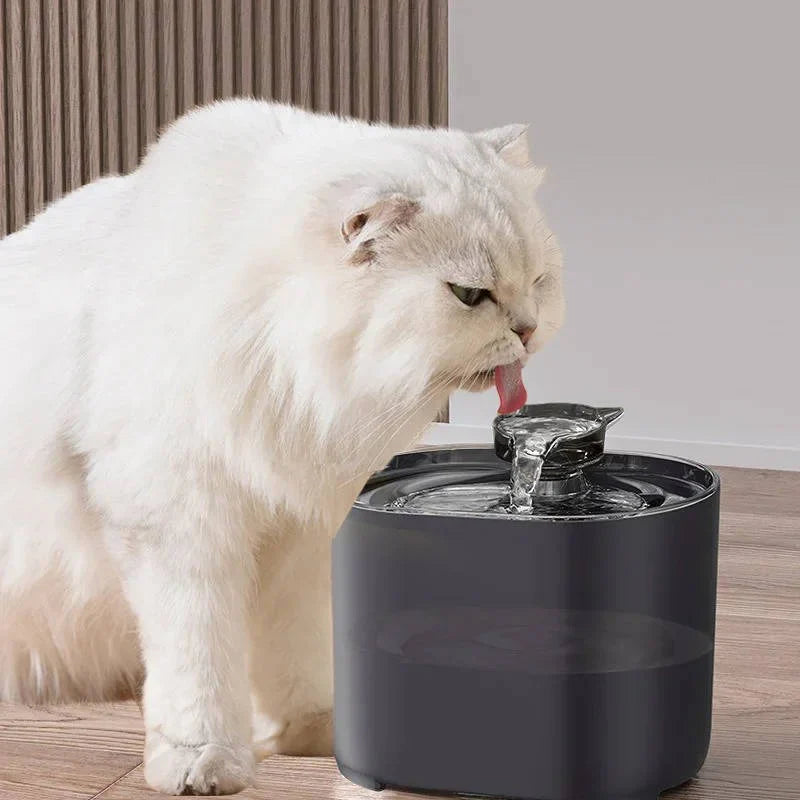 Fontanella per Gatti 2L – Acqua Fresca e Filtrata 24h
